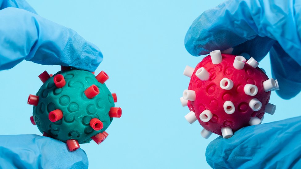 Representación de dos coronavirus de diferente color.