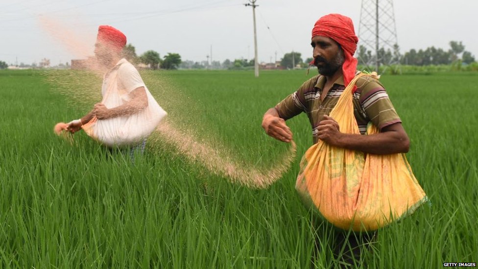 ਕਿਸਾਨ