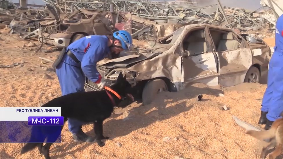 俄羅斯搜救人員與搜索犬在貝魯特大爆炸現場搜索失蹤人員（俄羅斯緊急情況部視頻截屏7/8/2020）