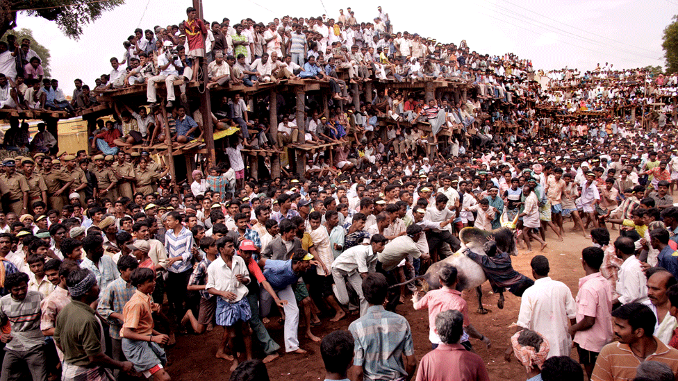 Конкурс Манджу Виратту в Тамил Наду (фото из файла)