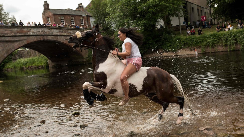 Лошадь встает на дыбы, когда ее моют в реке Эдем во второй день ярмарки лошадей Эпплби