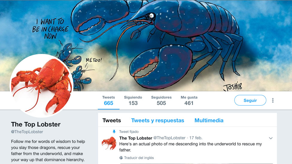La cuenta en Twitter de @TheTopLobster