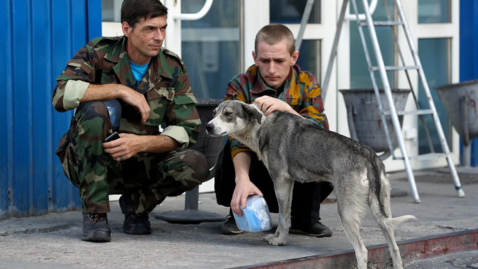 Cão com guardas de Chernobyl