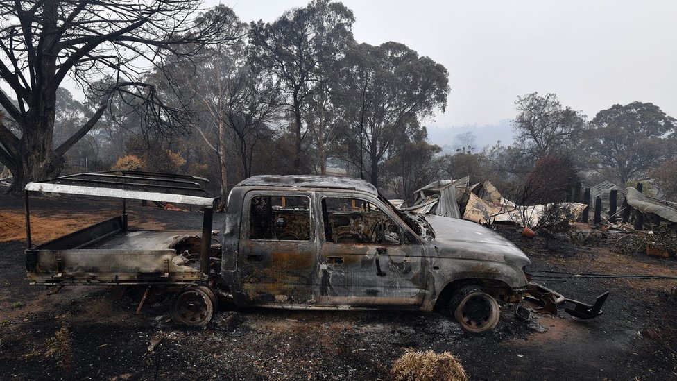 Завод по производству щепы, сожженный лесными пожарами в Куаме в Новом Южном Уэльсе в Австралии
