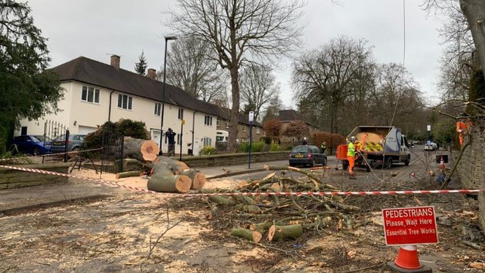 Storm Otto Man seriously injured after tree fall in Sheffield