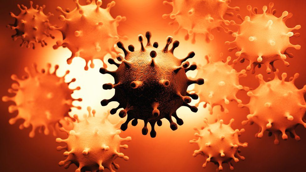 Covid-19: ¿qué tan preocupantes son las variantes de coronavirus de Reino Unido, Sudáfrica y Brasil? - BBC News Mundo