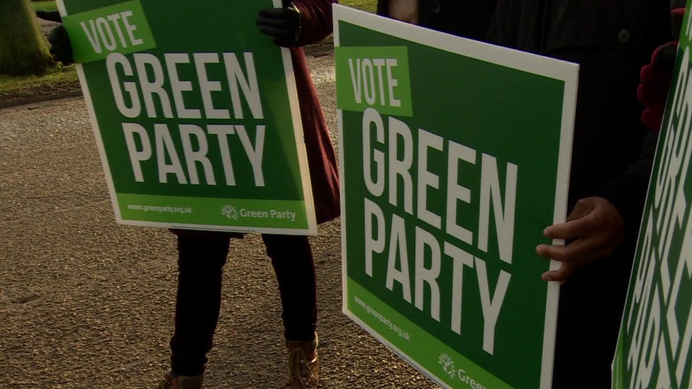 Плакаты Партии зеленых