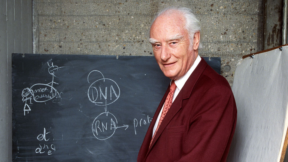Crick (fotografiado aquí en 1993) y Brenner, fueron los primeros en descubrir el papel del ARN mensajero. Francis Crick en 1993