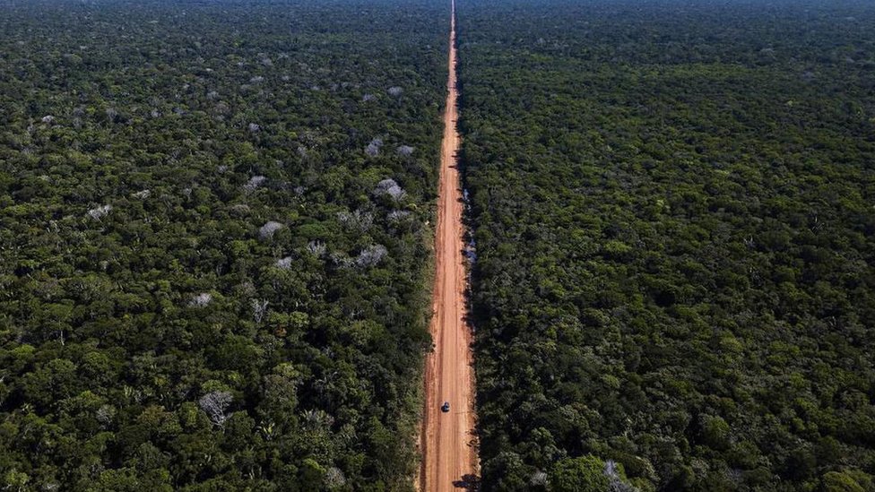 A estrada BR-319 hoje em dia vista do alto — um rasgo no meio da floresta