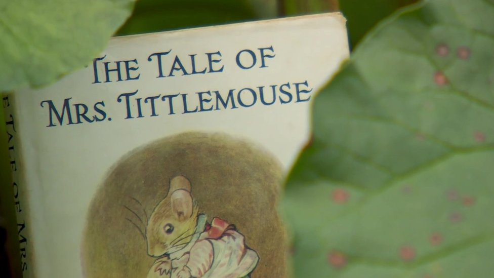 Beatrix Potter's lakeside legacy BBC News