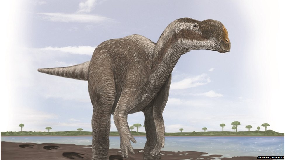 Художник представил двуногого динозавра-растительноядного, похожего на муттабурразавра