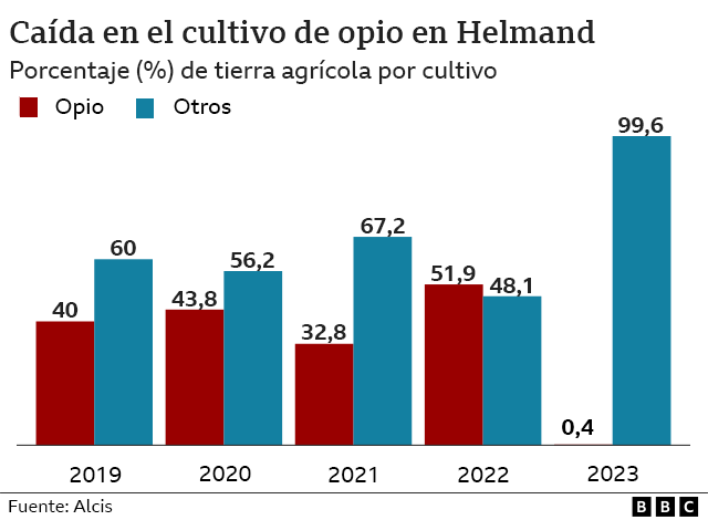 Gráfico que muestra la caída en la producción de opio en Helmand