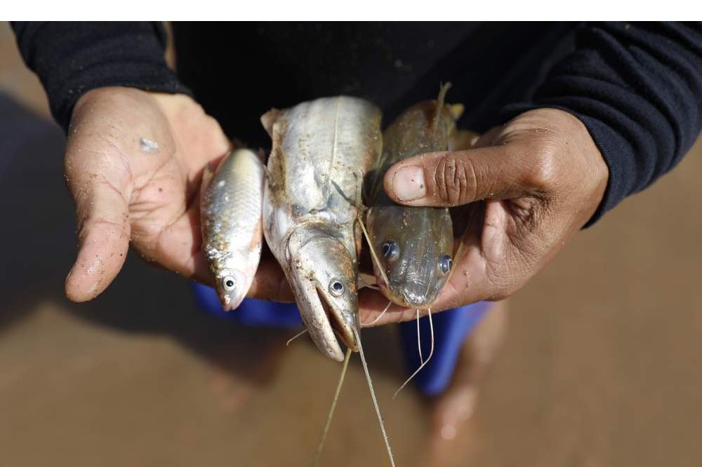 44歲的老村民尼特旺（Prasit Intawong）住在清萊市的華魯村，一邊笑著說，一邊把魚一隻一隻從漁網中拿出來。