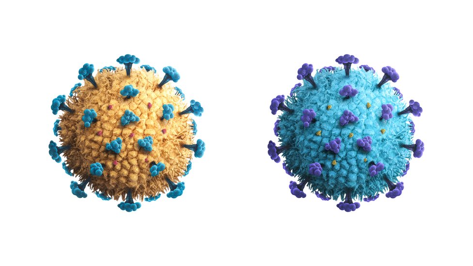 koronavirüs illüstrasyon