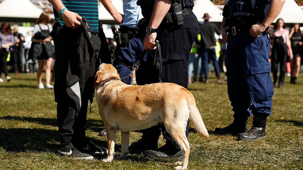 Полицейские и собаки для обнаружения наркотиков гуляют среди посетителей фестиваля у входа в Splendor In The Grass 2019