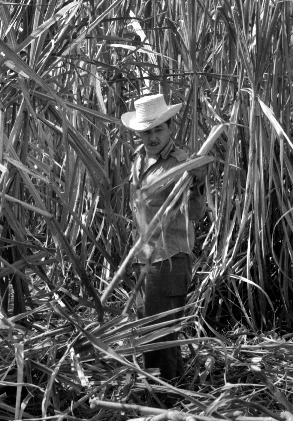 Castro cutting sugar cane. Cuba, 1970. (Photo by Gilberto Ante/Roger Viollet via Getty Images)