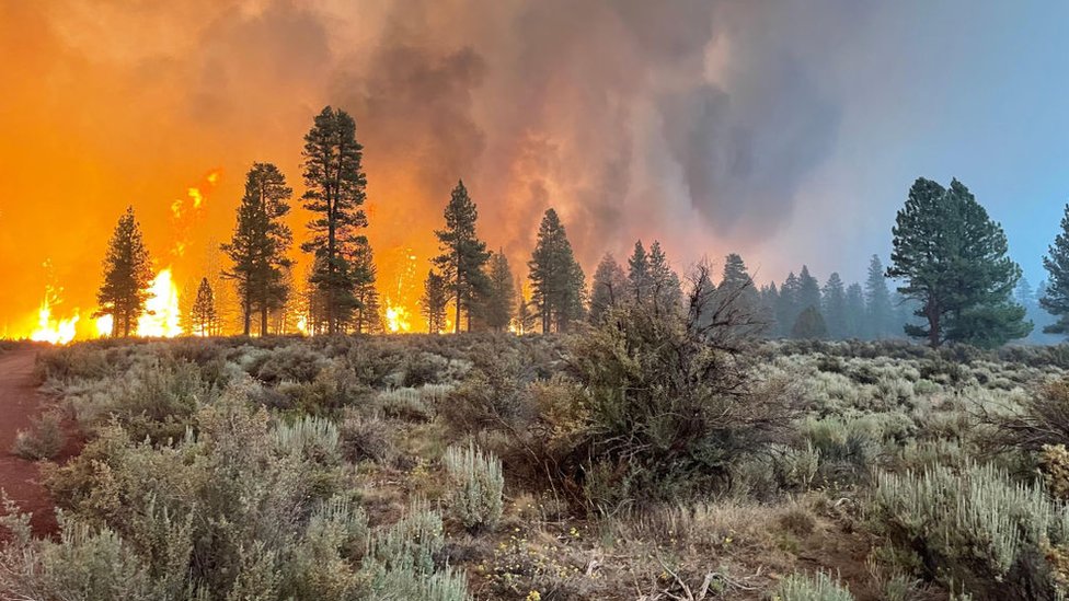 Oregon Bootleg Fire: Evacuations as largest US fire burns 300,000 acres