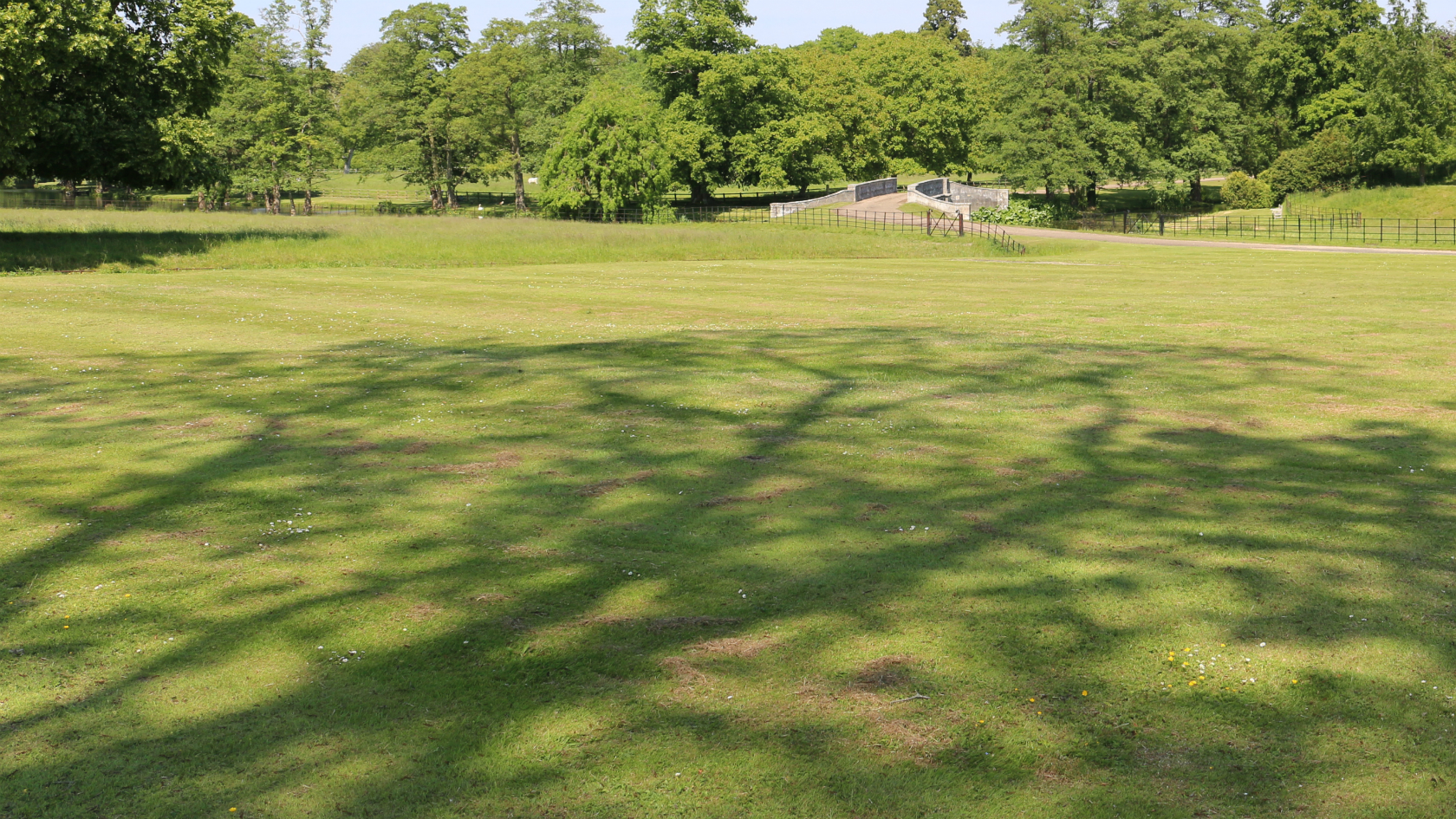 BBC Local Live Beds, Herts & Bucks on Friday, 8 January 2016 BBC News