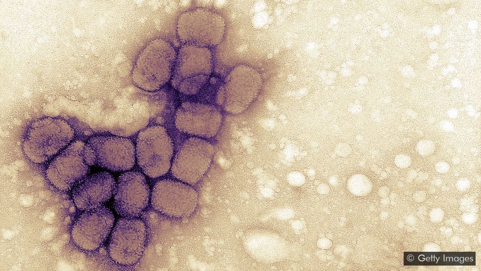 Antes da invenção de Jenner, os tratamentos contra varíola não funcionavam ou não eram seguros