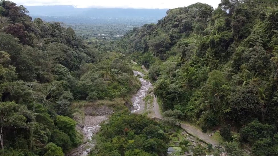 Perempuan, ibu rumah tangga, penjaga hutan, Aceh