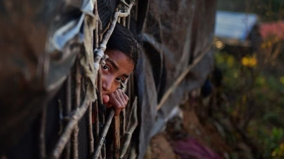 pengungsi Rohingya