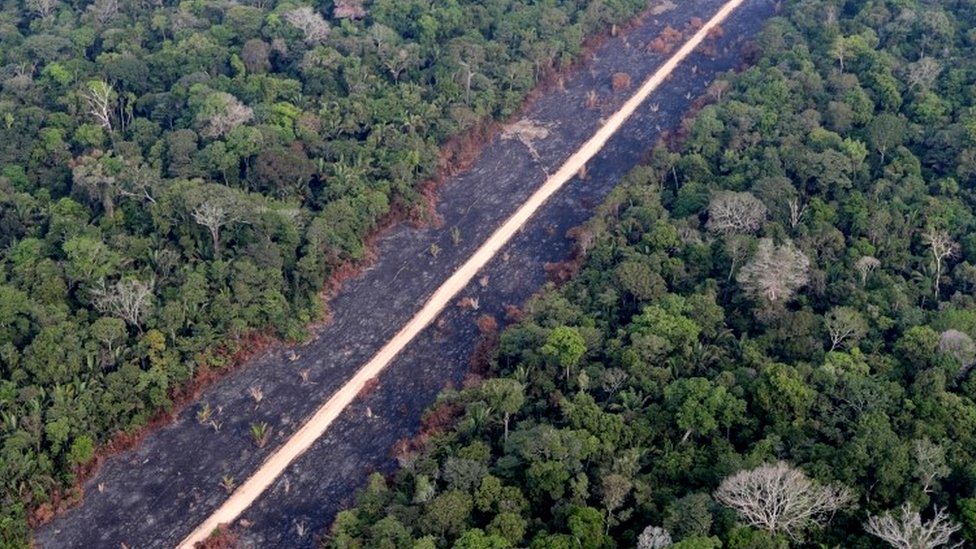 Дорога через выжженные джунгли Амазонки недалеко от Порту-Велью, штат Рондония, Бразилия