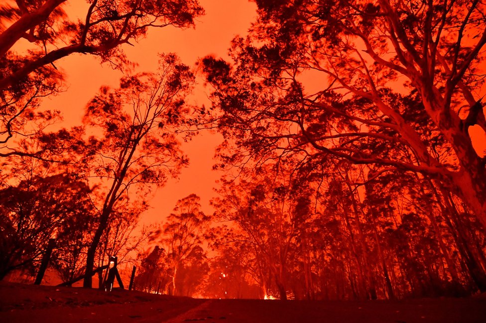 ਆਸਟਰੇਲੀਆ ਦੇ ਜੰਗਲਾਂ ਦੀ ਅੱਗ Australia bushfires