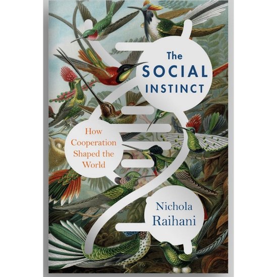 Capa do livro The Social Instinct