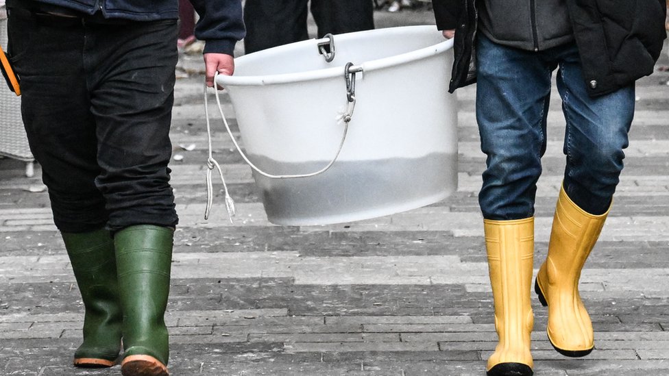 Berlin: Eksplodirao veliki hotelski akvarijum, milion litara vode i 1.500 riba završilo na ulici 6 Berlin