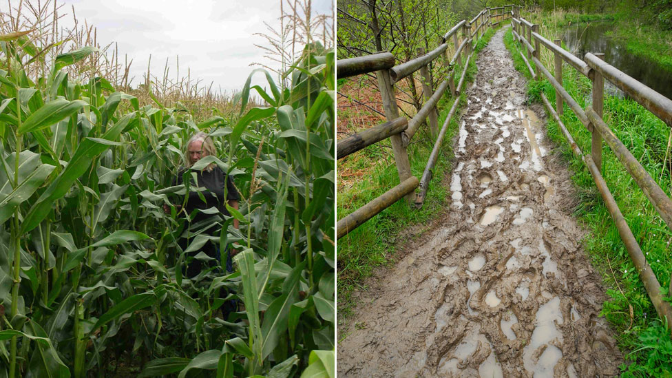 Заросший путь (l) и грязный путь (r)