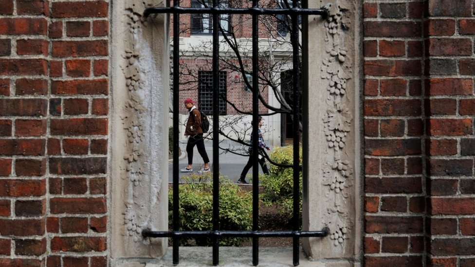 Студенты и пешеходы идут по двору Гарвардского университета