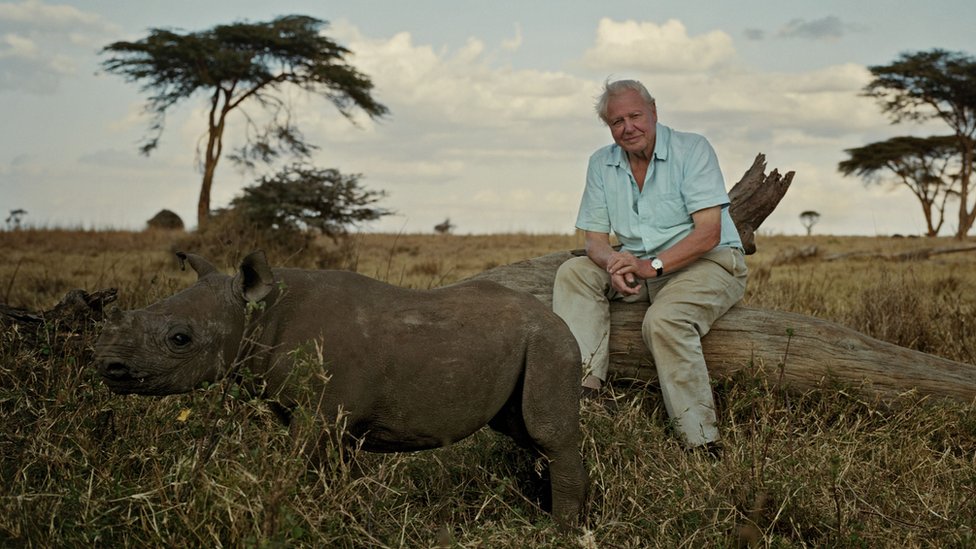 David Attenborough 'transformed my view of the wild world' - CBBC Newsround