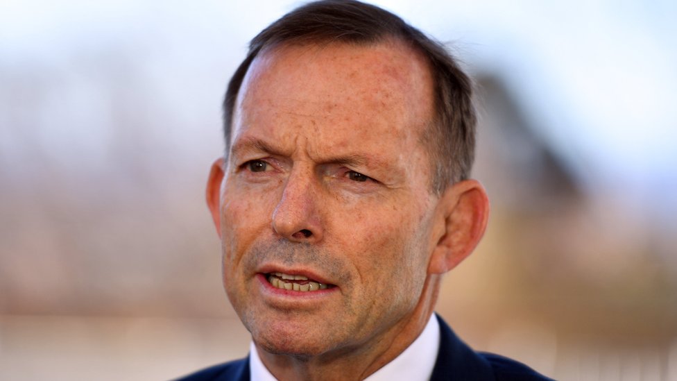 Tony Abbott Head Butt No Same Sex Marriage Link Bbc News