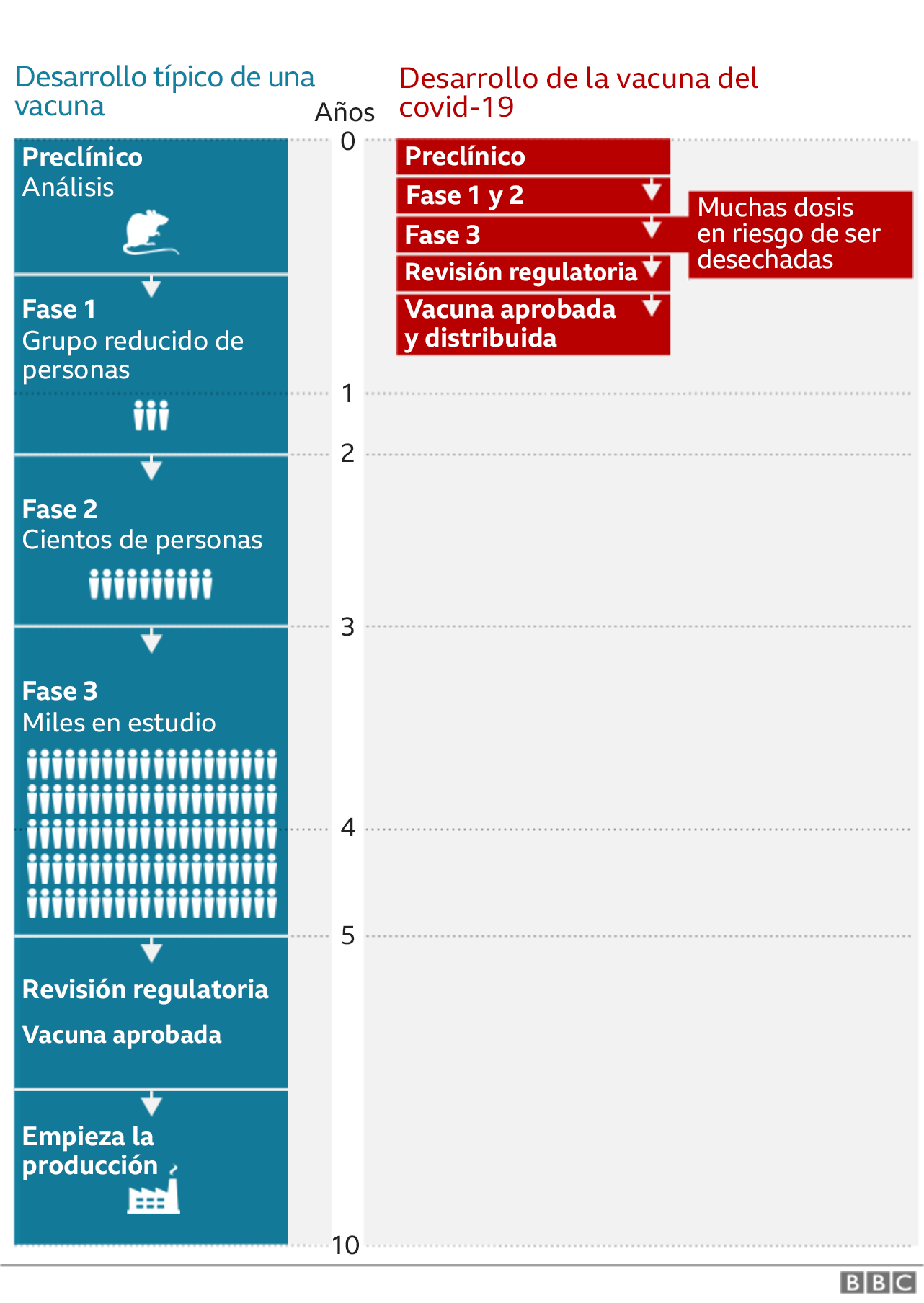 Gráfico de desarollo de una vacuna