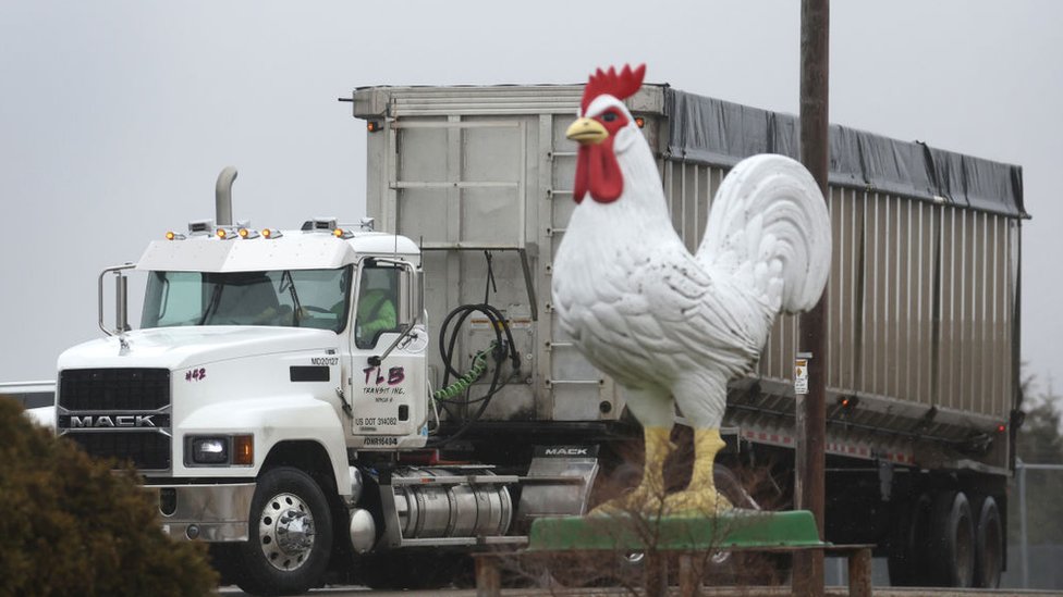 Granja avícola en EE.UU.