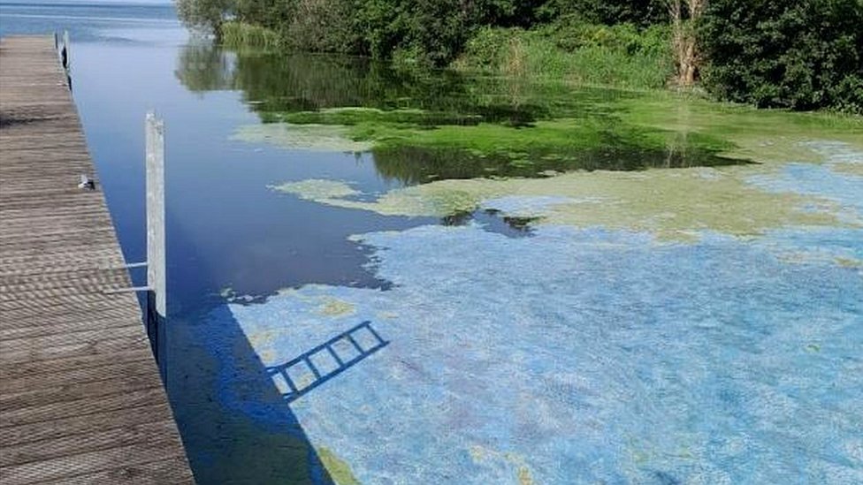 Lough Neagh: How climate change intensified toxic algae on the