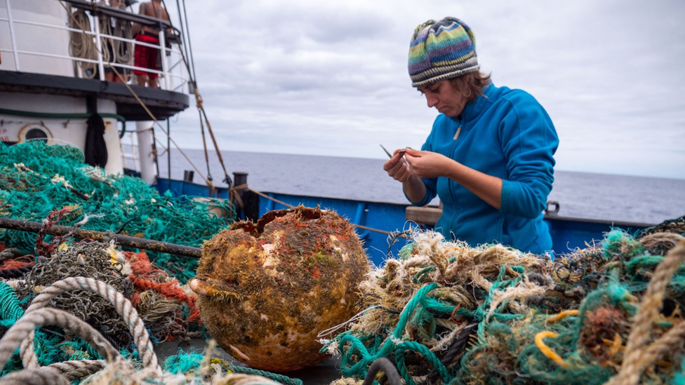 Una investigadora recolectando resiudos en la Gran Mancha de Basura del Pacífico.