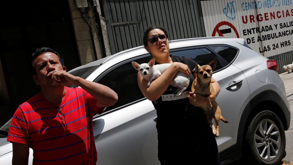 Se ha observado que muchos animales pueden sentir las primeras ondas que genera el terremoto y que nosotros no percibimos. Terremoto en México