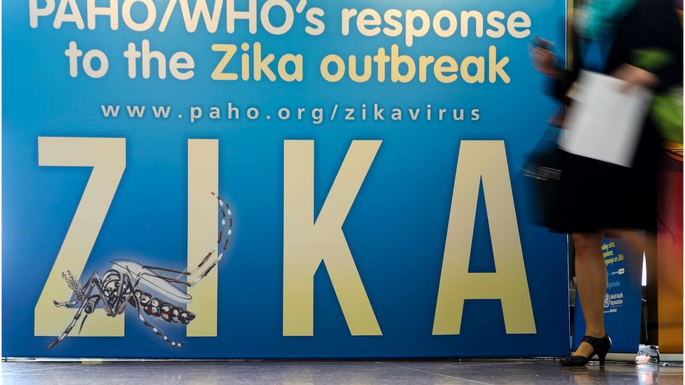 WHO: We constantly assess the risk of Zika virus - BBC News