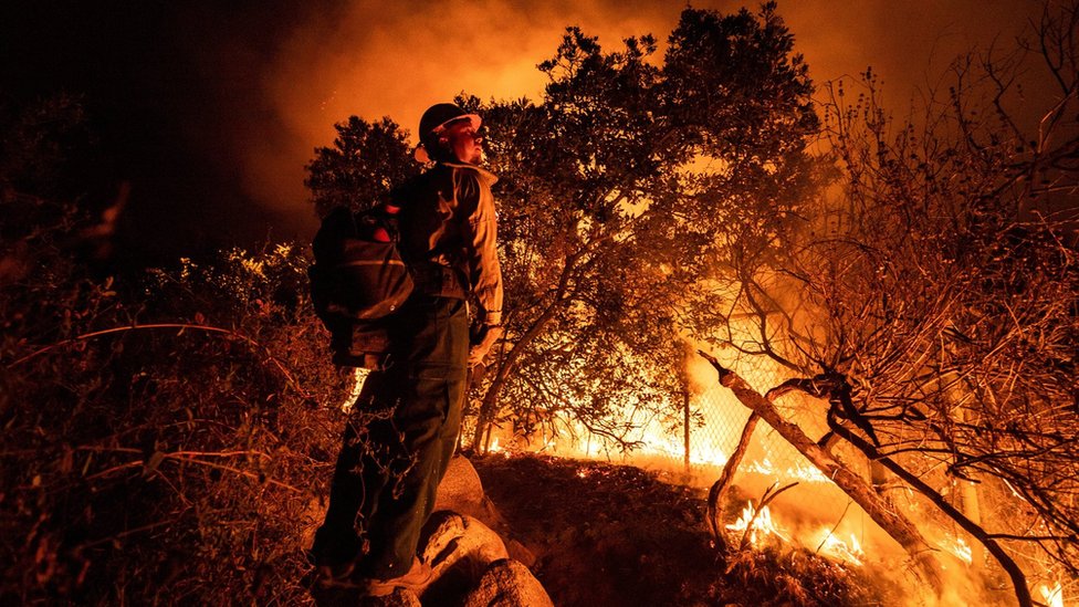 Firefighters "back burn" in an attempt to contain the Bobcat fire in the Angeles National Forest, near Arcadia, California (13 September 2020)
