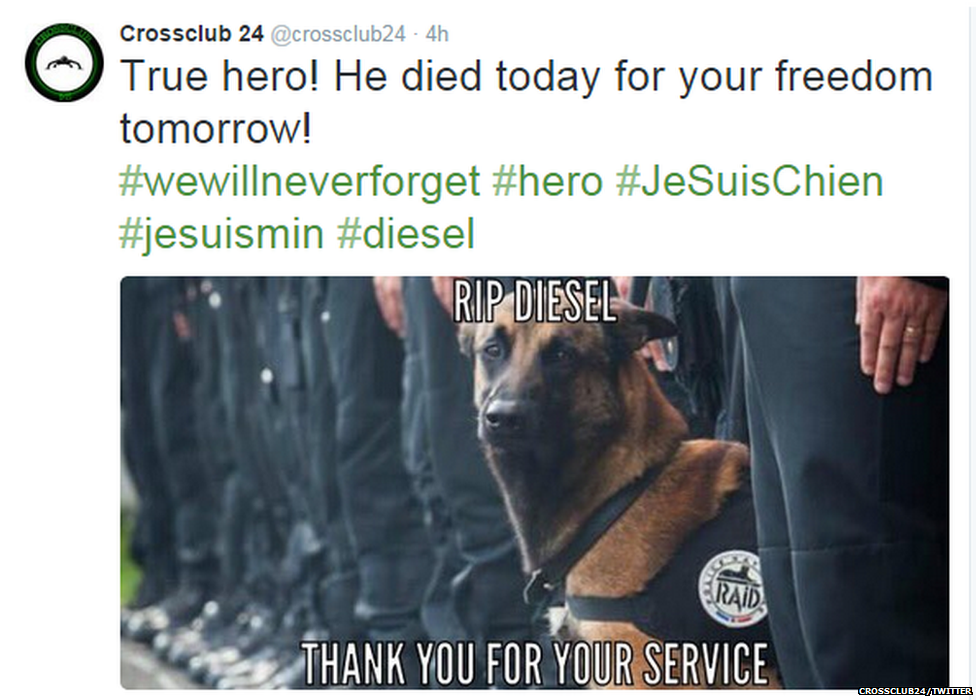 Твиттер с изображением полицейской собаки с наложенным лозунгом «СПАСИБО ЗА ВАШИ УСЛУГИ»
