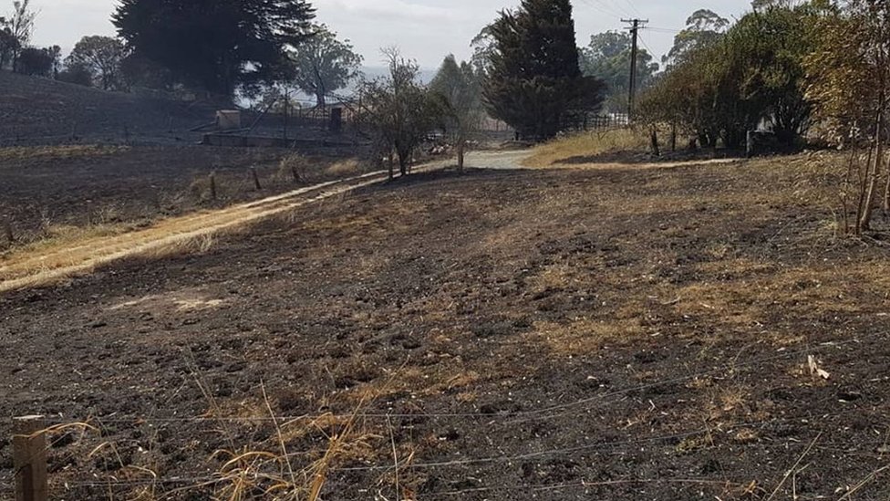 Почерневшая земля в поместье Тилбрук после лесных пожаров в Аделаидских холмах.