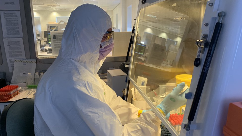 Лаборатория коронавируса МОМ
