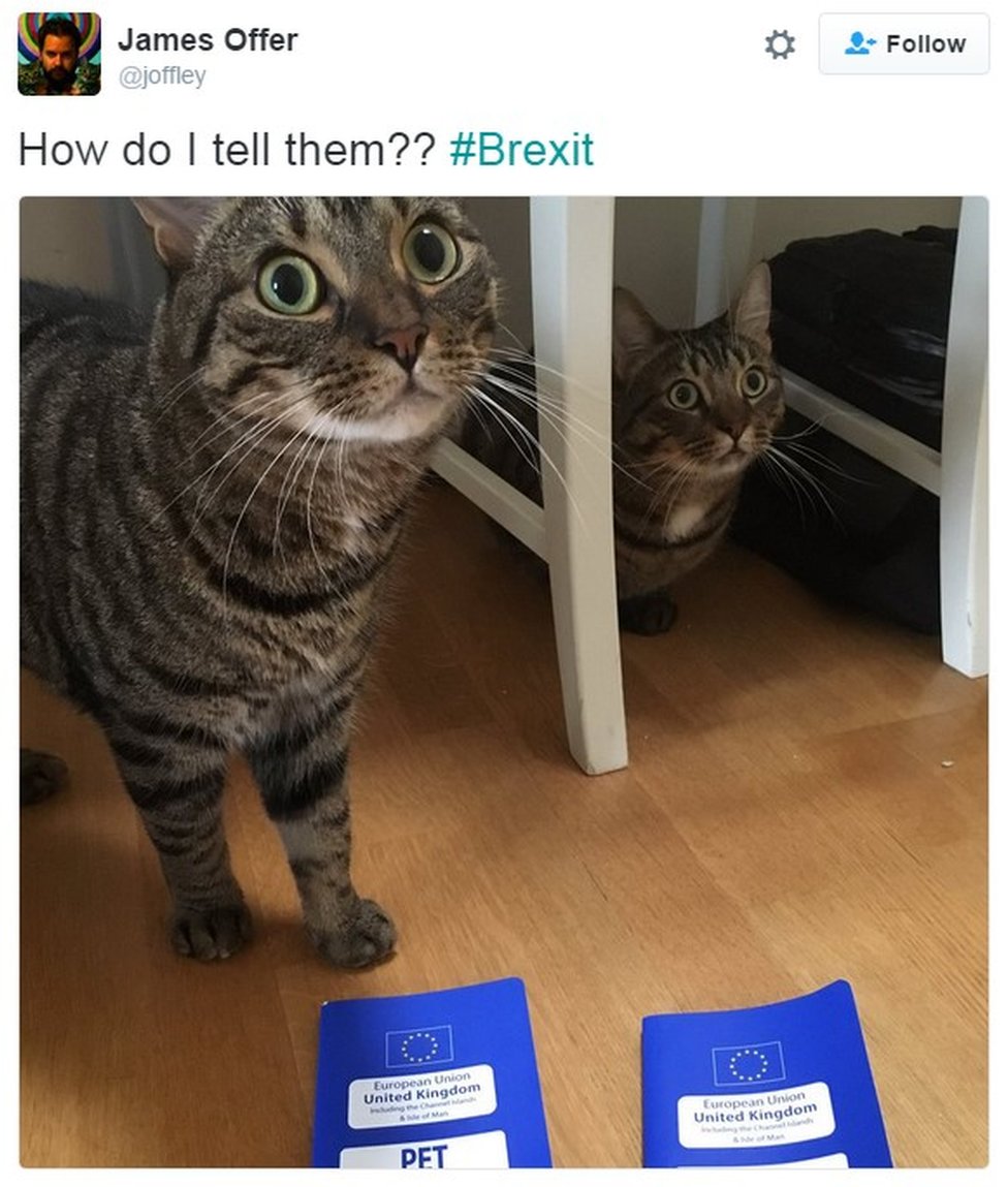 «Как мне сказать им ?? #Brexit»