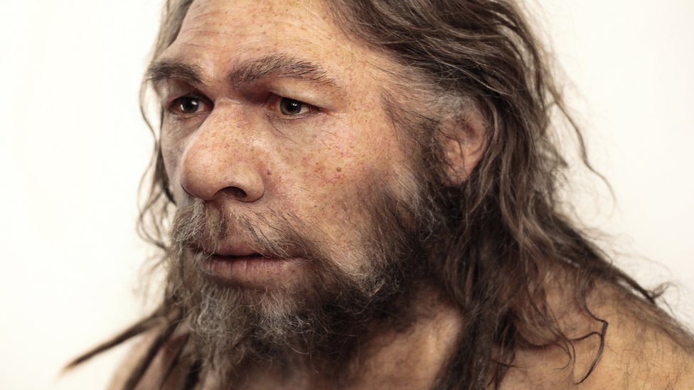 Реконструкция неандертальца (Homo neanderthalensis) по окаменелостям La Chapelle-aux-Saints