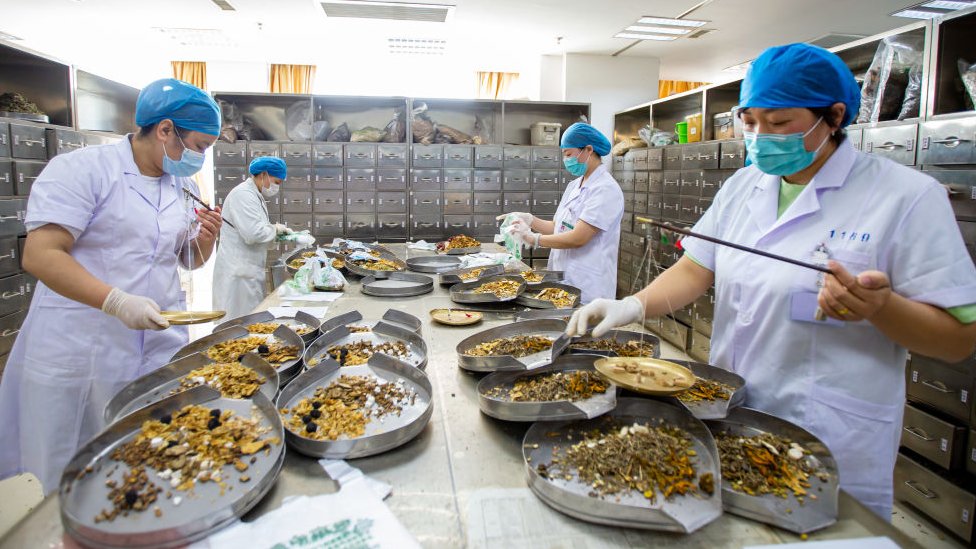 Trabalhadores preparam produtos da medicina tradicional chinesa.