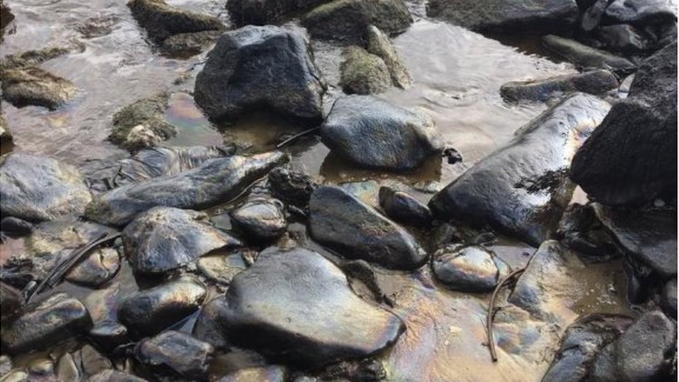 Foto de rocas en la playa de El Palito, al noroeste de Venezuela.