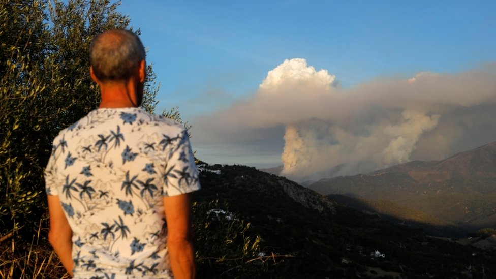 Spain fire: Thousands flee blaze near Costa del Sol town