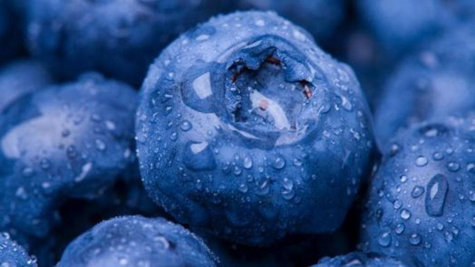 Fruit