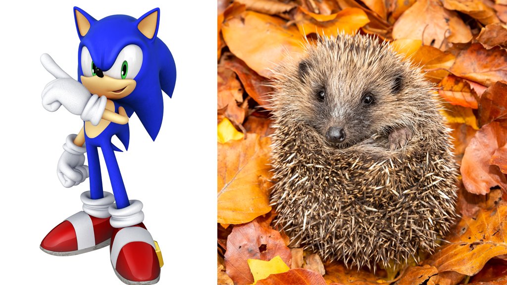 realistic sonic the hedgehog
